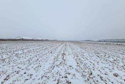 Teren industrial de vanzare in Stupini - 1