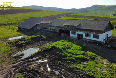 Teren agricol intravilan de 13725 mp, în Posmuș - 4