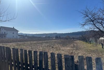 Teren agricol intravilan de 2581 mp, în Albeștii de Argeș - 3