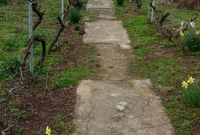 Casă cu 3 camere în Mircea Vodă - 2