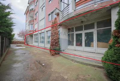 Spa?iu comercial 432mpu de vanzare, str. Petru Maior, Sanmartin - 3