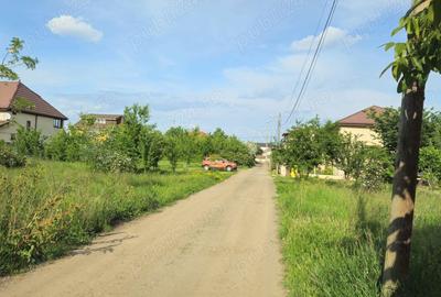 Teren de 500 mp, în Ciorogârla - 4