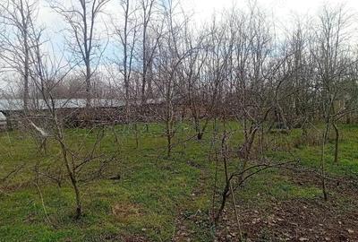 Casă cu 4 camere cu Teren 1110 Mp în Vlad Țepeș - 5