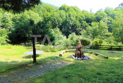 Pensiune de lux de vanzare in inima padurii langa Sibiu - 54