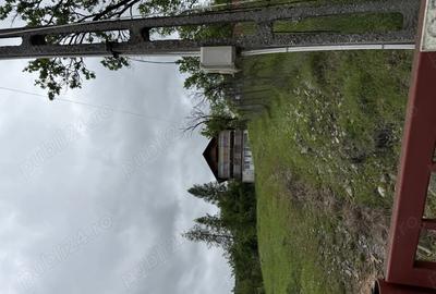 Casă cu 5 camere cu Teren 430 Mp în Valea Doftanei - 4