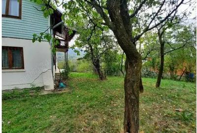 Vand casa si teren Drajna de Jos Vand casa si teren Drajna de Jos - 7