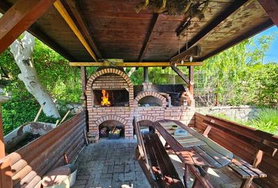 Clisura Dunarii Pensiune Casa cu Smochini - 8