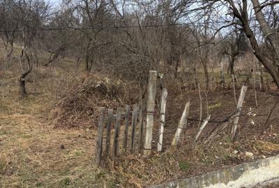 Spațiu comercial, în Central - 4