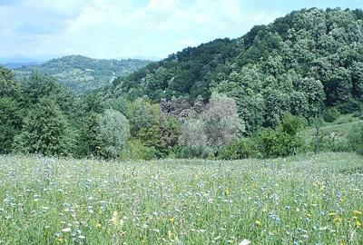 Teren de 3092 mp, în Telega - 14