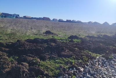 Teren Construcții intravilan de 500 mp, în Bod - 2