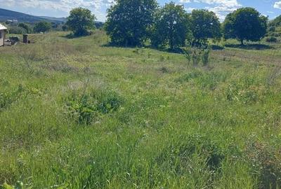 Teren intravilan, in Criseni - 2