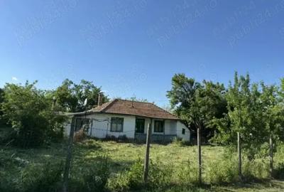 Inchiriez curte gradina la tara in mijlocul naturii la de 25 minute de IKEA Pallady via A2 Fundulea - 2