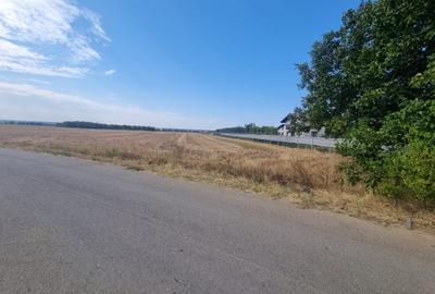 Teren agricol extravilan de 6200 mp, în Gruiu - 1