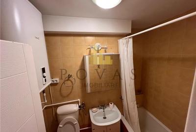 Vanzare Apartament 3 Camere Stefan cel Mare Parcul Circului - 5