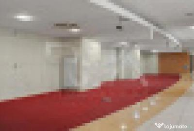 Spațiu comercial, de 1,085 mp, în Pantelimon - 1
