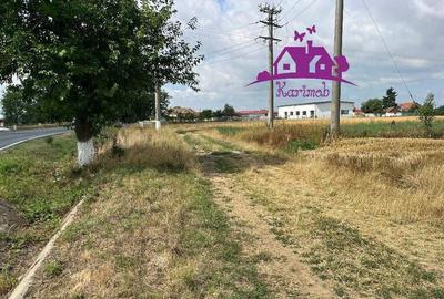 Teren la intrare in localitatea Gepiu - 5