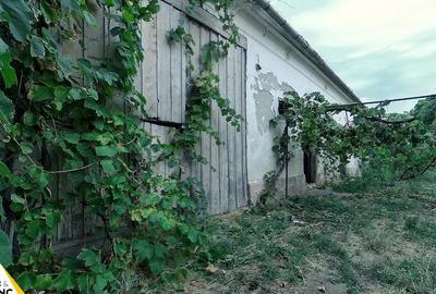 Casă cu 4 camere cu Teren 2238 Mp în Neudorf - 9