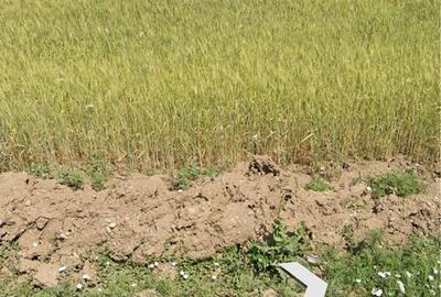 Spațiu comercial, în Corbeanca - 2