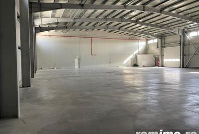 Spațiu comercial, de 1,200 mp, în Ștefăneștii de Jos - 4