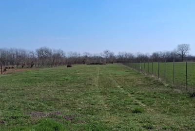 Casă cu 4 camere cu Teren 1113 Mp în Central - 2