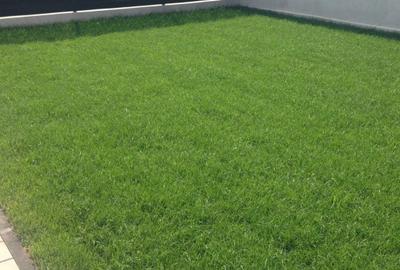 Duplex cu 4 camere cu Canalizare în Domnești - 8