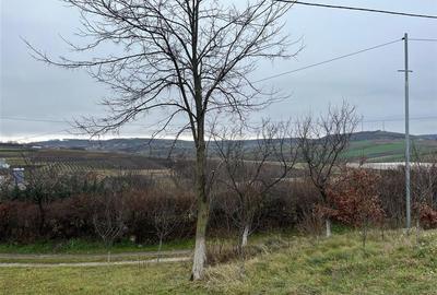 RECO Teren intravilan pentru casa 500 mp , Hidiselu de Sus - 1