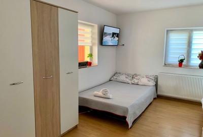 Garsonieră decomandată în Sânpetru - 5