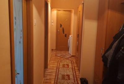 APARTAMENT 3 CAMERE | DECOMANDAT | LACUL TEI - 3