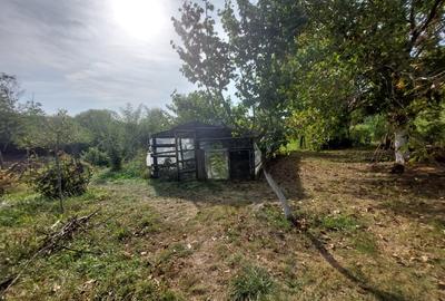 PROPRIETATE SUPERBA IN BIBIRESTI - 9