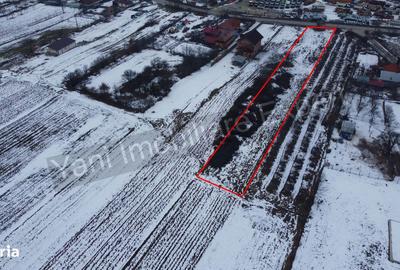 Teren de 2533 mp, în Tigveni - 5