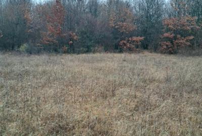 Teren extravilan comuna Crasna-Gorj 10912mp - 2