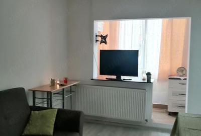 Garsonieră decomandată în Micălaca - 14