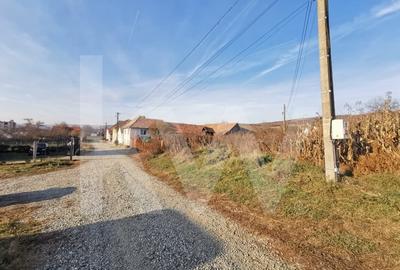 Teren Construcții intravilan de 1152 mp, în Ruși - 5