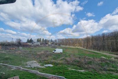 Casa la Padurea Snagov - 4