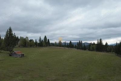 Teren de 16813 mp, în Fundu Moldovei - 18