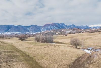 Teren Construcții intravilan de 4500 mp, în Tohanu Nou - 12