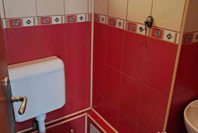Spațiu comercial, de 115 mp, în Brâncoveanu - 3
