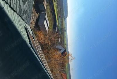 Teren de 460 mp, în Dascălu - 1