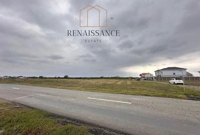 Mosnita Noua Teren 10.000mp | Front 63m | La asfalt - Zona de Case - 2