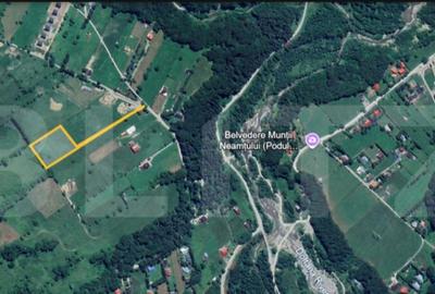 Teren de 4990 mp, în Valea Doftanei - 2