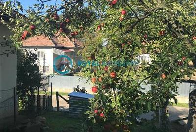 Casă individuală cu 2 camere cu Teren 1380 Mp în Teișani - 5