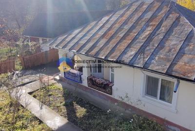 Casa + teren 5062 mp de vanzare - Targu Neamt - 5