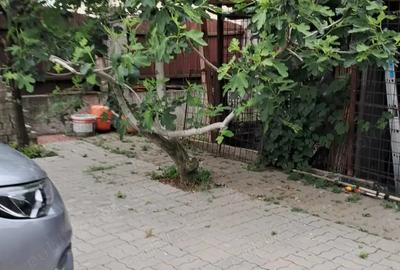 Vand sau schimb casa cerneti - 8