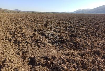 Teren agricol extravilan de 7500 mp, în Sărata - 1