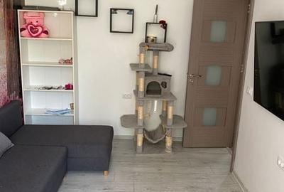 Apartament cu 2 camere semidecomandat în Petrișor - 4