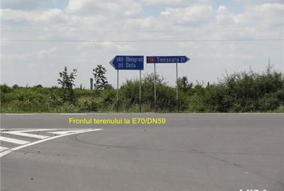 Teren de 10750 mp, în Pădurani - 4
