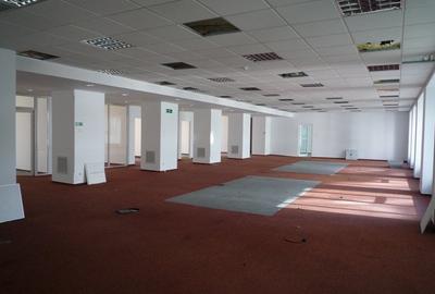 Birou, 370 mp în Aviației