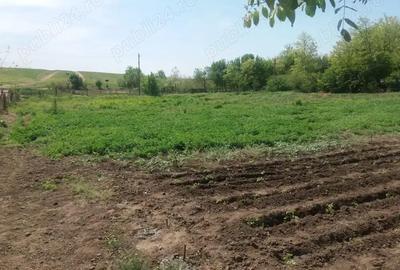 Teren de 3400 mp, în Central - 1