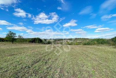 Teren intravilan 5995 mp de vanzare in Hidiselu de Sus - 6