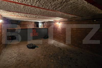 Proprietate istorica cu potential de transformare, in exclusivitate, 150 mp - 3